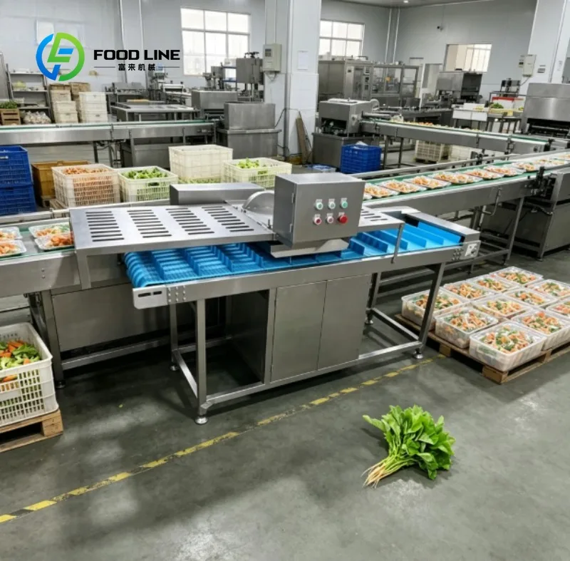 

Automatic Vegetable Dicer Machine Commercial Fruit Slicer Food Processing Equipment
