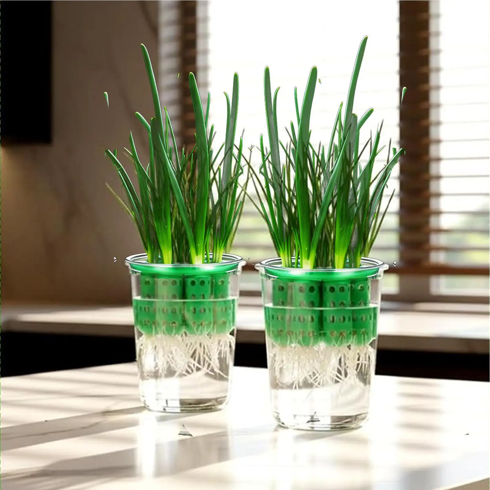 Green Onion Planter Clear Reusable Hydroponic Scallion Grower Green Onion Seedling Sprouting Kit for Windowsill Garden Home