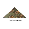 SS