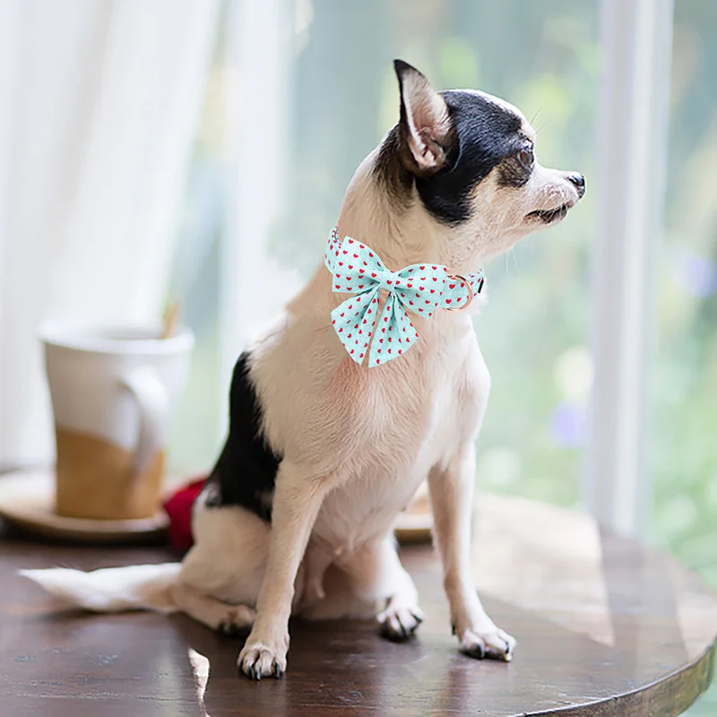 Unique Style Paws Blue Heart Dog Collar,  Valentine\'s Day Dog Collar with Bowtie Cute Puppy Necklace for Small Medium Large Dog