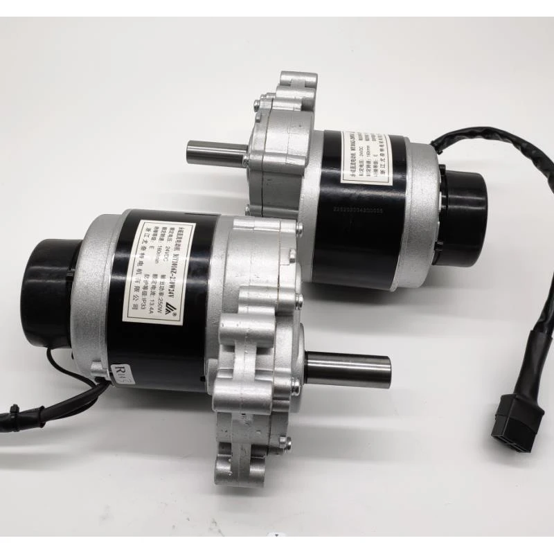 250W 24V 75 Vòng/phút 120 Vòng/phút 160 Vòng/phút Bánh Xe Ghế Sử Dụng DC Bánh Răng Chải Động Cơ tốc Độ Thấp Bàn Chải Động Cơ Điện Từ Phanh