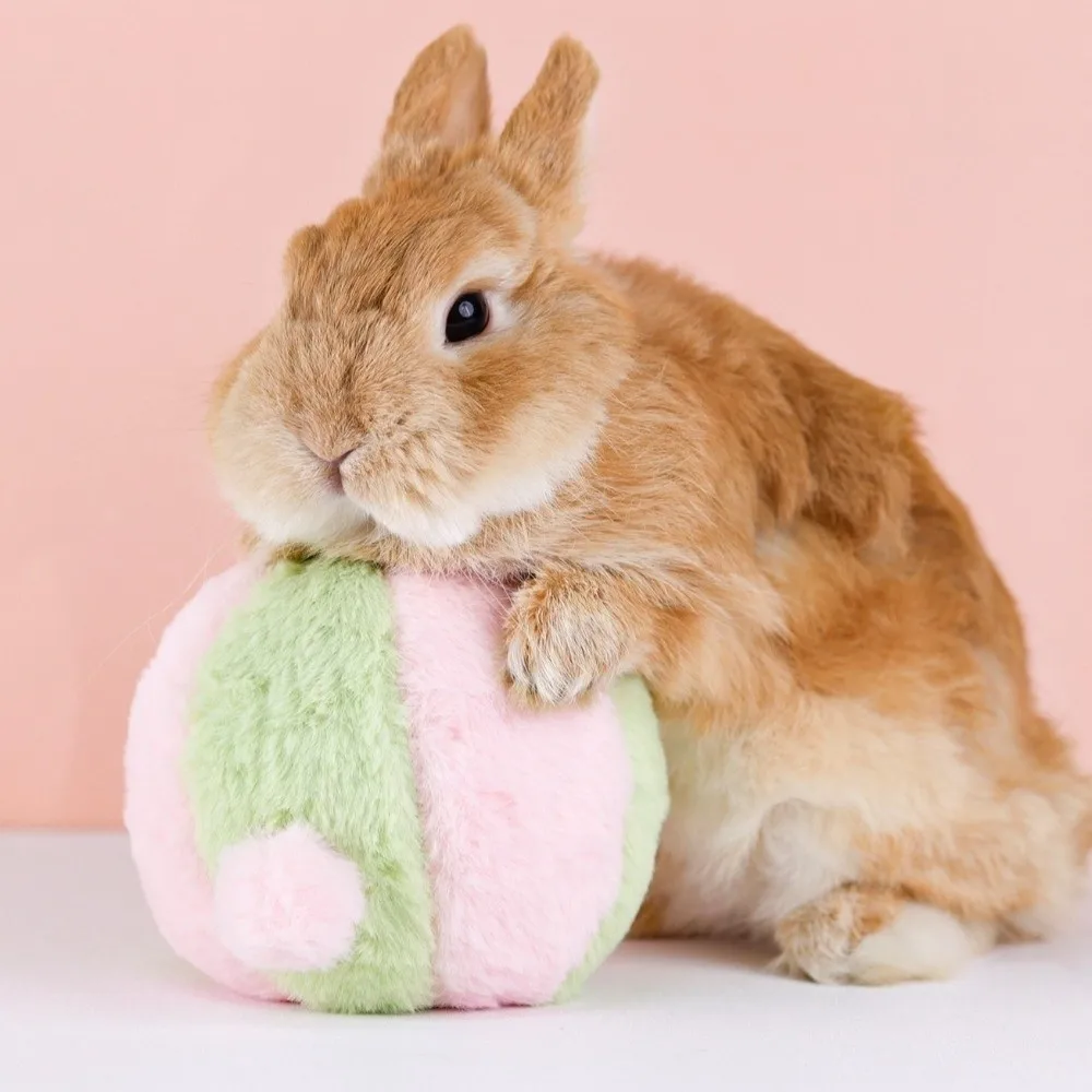 Simulated Rabbit Buttocks Rabbit Venting Ball Fluffy Bite Resistant Rabbit Calming Ball Comfortable Soft Rabbit Soothing