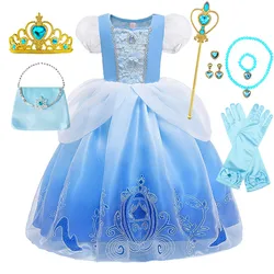 European and American Style Princess Party Costume Fairy Tale Cinderella Delicate Ball Gown Girls Cosplay Frock Kids Role Play