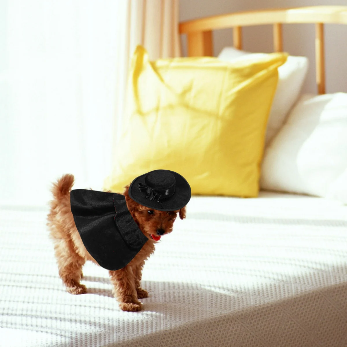 

Pet Costume Hat Cloak Set Dog Cat Halloween Party Cosplay Clothes Puppy Dog Cat Clothes Festival Costume Pet Hat Cloak