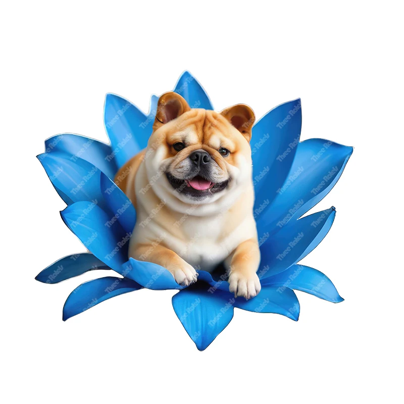 Three Ratels puppy in  blue magnolia flower lovely animal wall stickers for home decoration