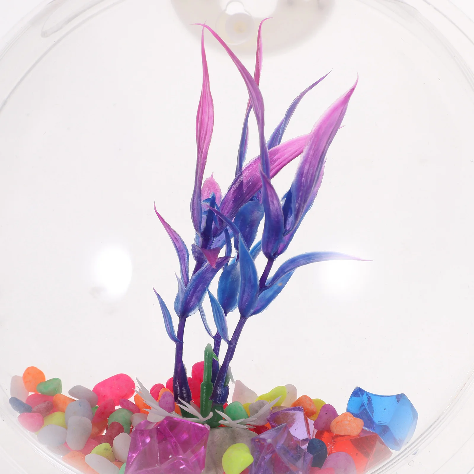 

Wall Mounted Fish Tank Acrylic Clear Container Bulk Betta Bowls Hanging Bowl Space Saving Home Decoration Aquarium Tanks