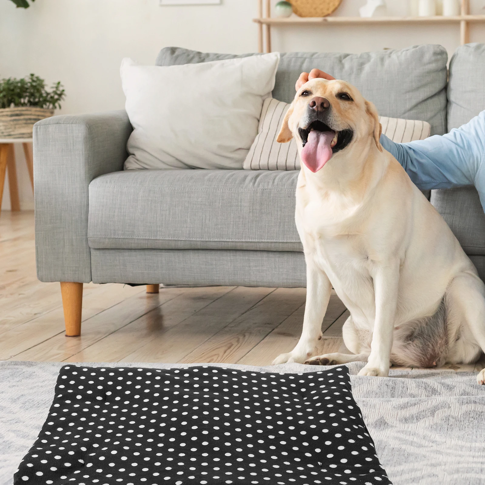 

USB Heated Pad for Pets 45x35 Black Constant Temperature Adjustable Warmth Electric Dog Cat Bed Heating Supplies