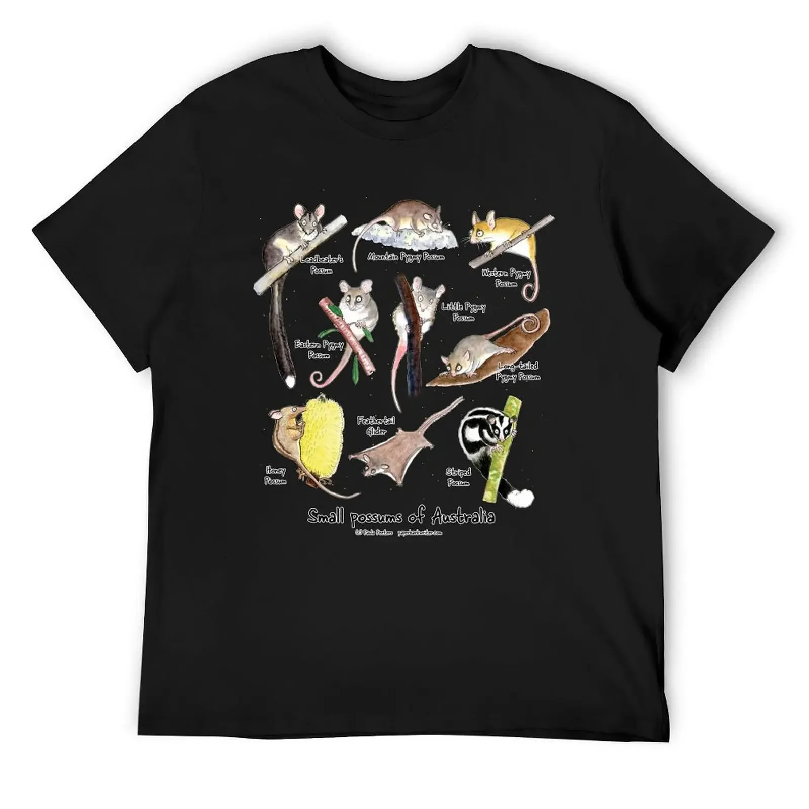 

Small possums of Australia T-Shirt designer shirts graphic shirts graphics valentines boutique clothes mens white t shirts