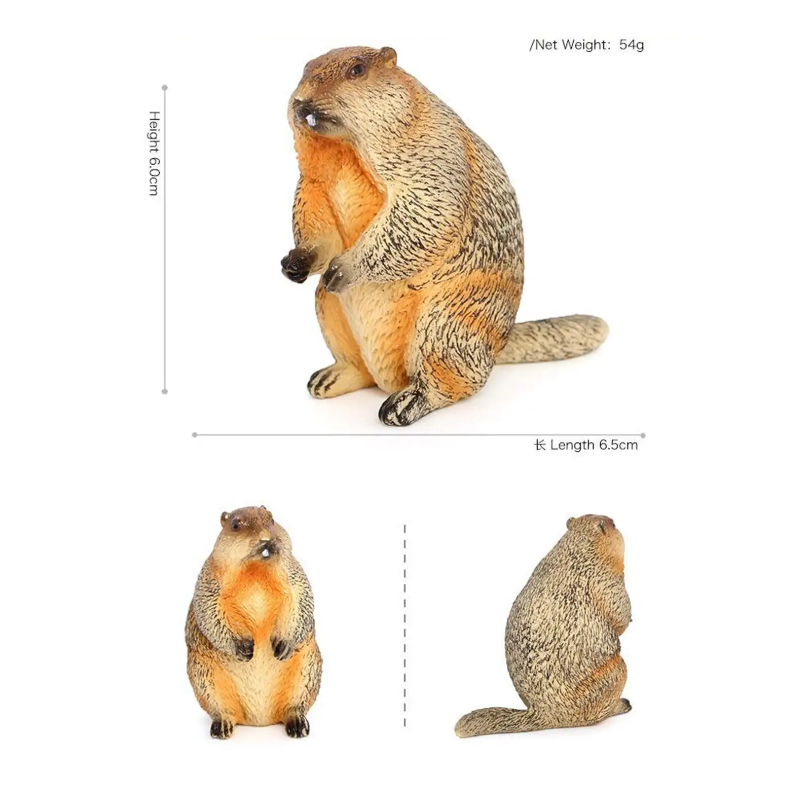 Simulation Toy Animal Model Realistic Portable Ornament Figurine for