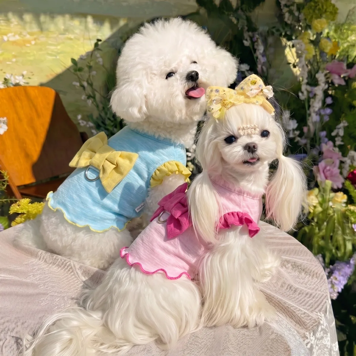 Nuevo Chaleco de Verano para Perros y Gatos, Top Corto con Lazo de Moda Coreana para Cachorros, American Shorthair, Bichon Frise, Shih Tzu