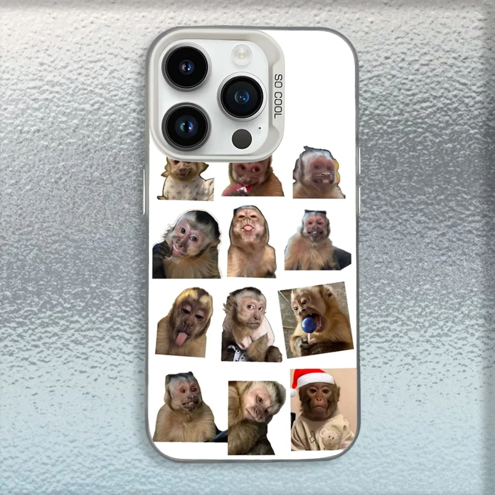 Cute Funny Monkey Phone Case For iPhone 16,15,14,13,12,11,Mini,Pro,MAX White Matte Shockproof Cover - náhled 6