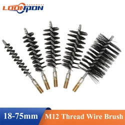 Loonpon M12 Thread Wire Brush Metal Handle 18-75mm Brush Working Stainless Steel Wire Pipe Tube Cleaning Chimney Brush