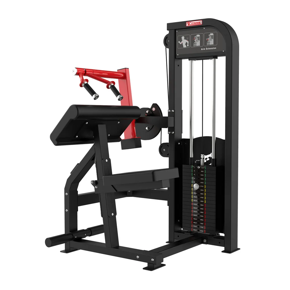 Bodybuilding Pin Loaded Gym Fitness Equipment Commercial Triceps Extension Triceps Press Machine