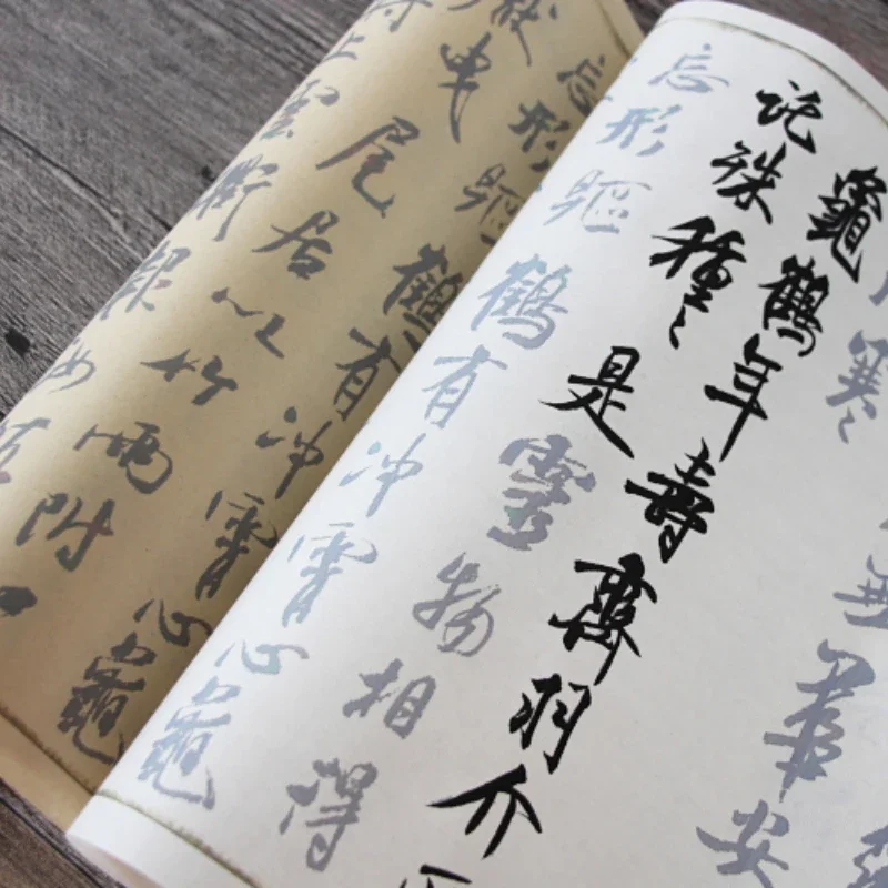 Mi Fu Running Script Copybooks Chinese Inscription Shu Su Tie Brushes Copybook Famous Articles Introductory Calligraphy Practice