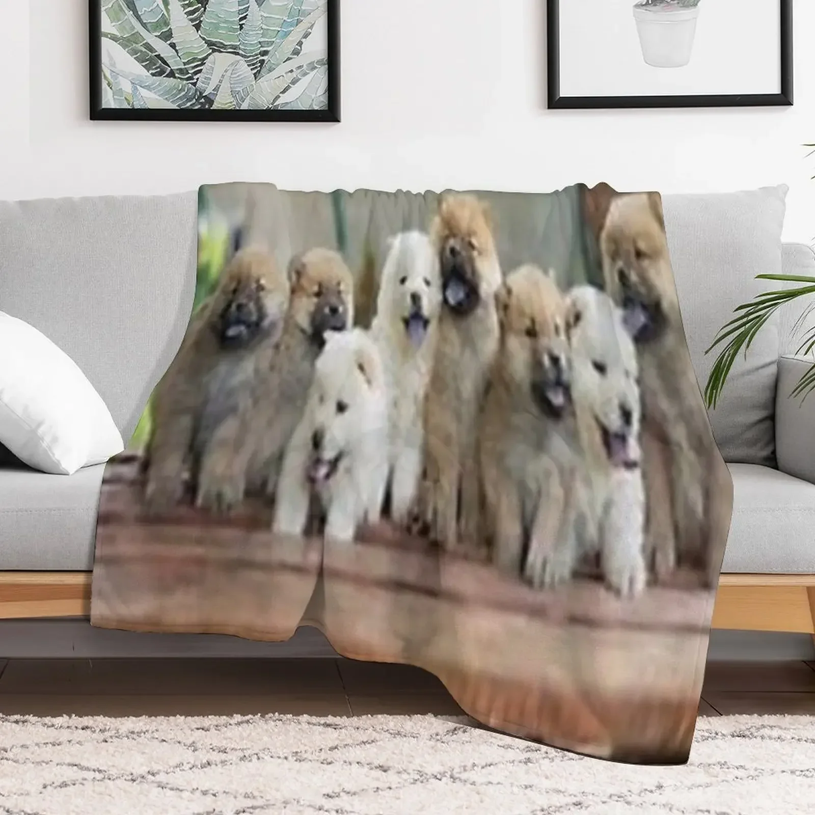 chow chow cachorros manta térmica bebé suelta decoración navideña mantas