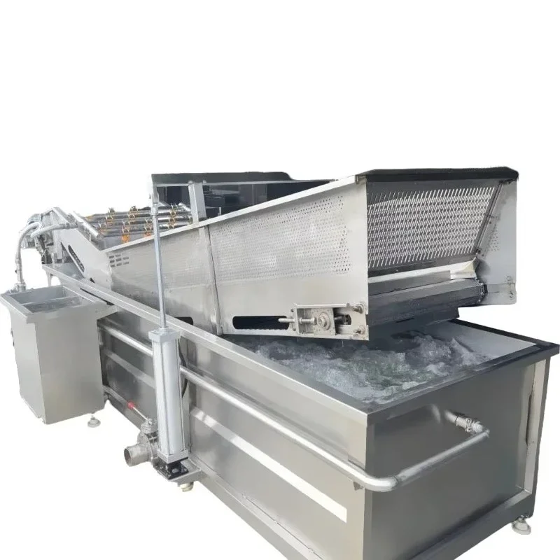 Qiangda Vegetable and Fruit Washer Bubble Washing Machine Rotary Fruit Vegetable Washing Machine