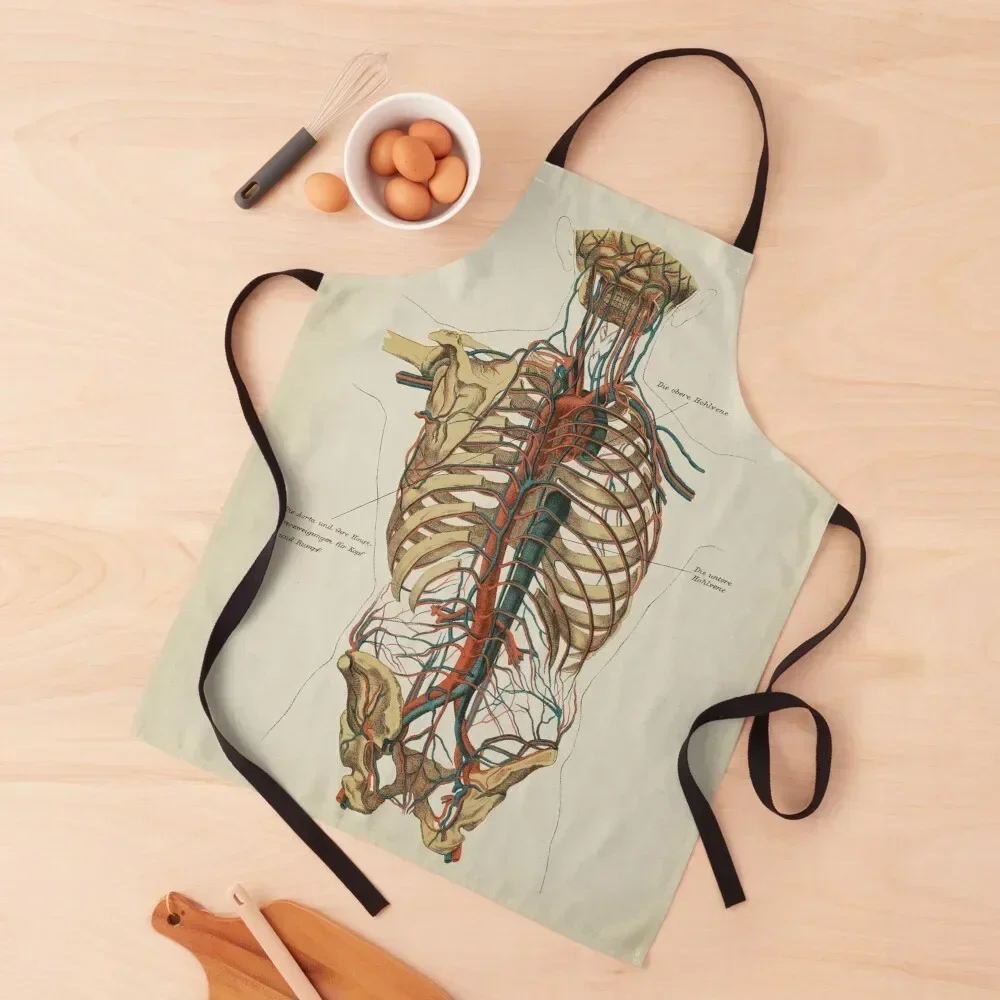 

Vintage Anatomy, Circulatory System Apron chef costume chefs custom women's kitchen Apron