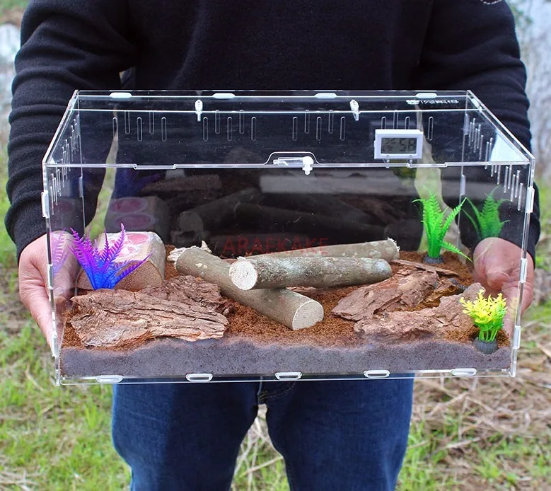 

Single horned shovel beetle breeding box set meal praying mantis spider insect acrylic transparent box crawling pet breeding box