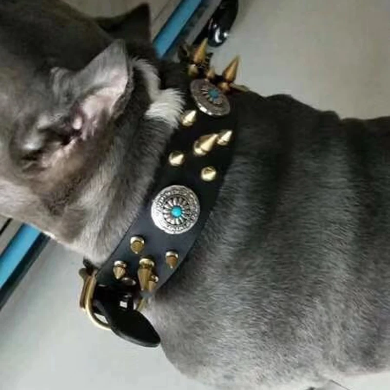 Black Studded Dog Collar For Large Dogs Handmade Brass Spiked Quality Collar Comfortable Soft Leather Dog Collars Price