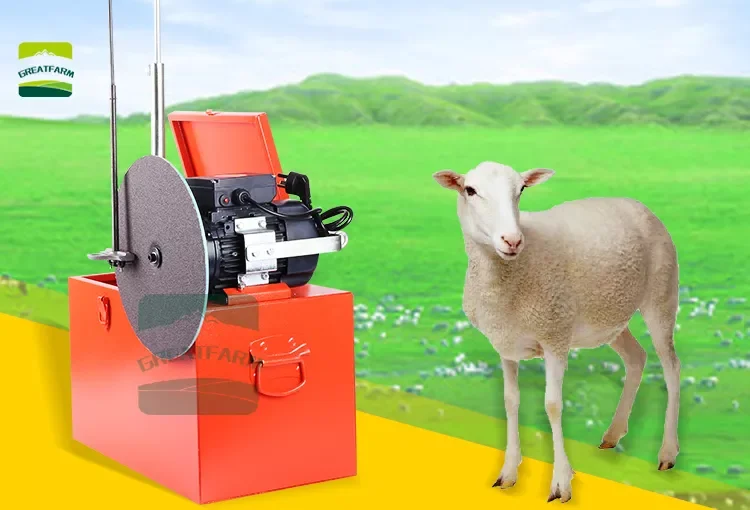 BEIYUAN 220V 250w Trimming and Clipper Machine Professional Electric Wool Clipper Wool Electric Scissor 500 Sheep Farm