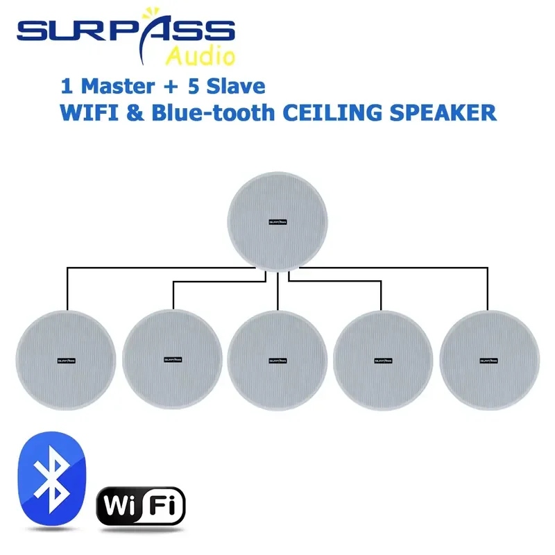 WE668 Store WiFi Ceiling Speaker Embedded Speaker Home Background Music Ceiling Speaker