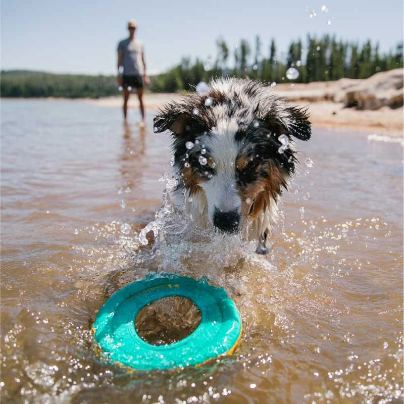 Pet Outdoor Good Floating Strong Buoyancy Frisbee Dog Toys Floating Pet Frisbee