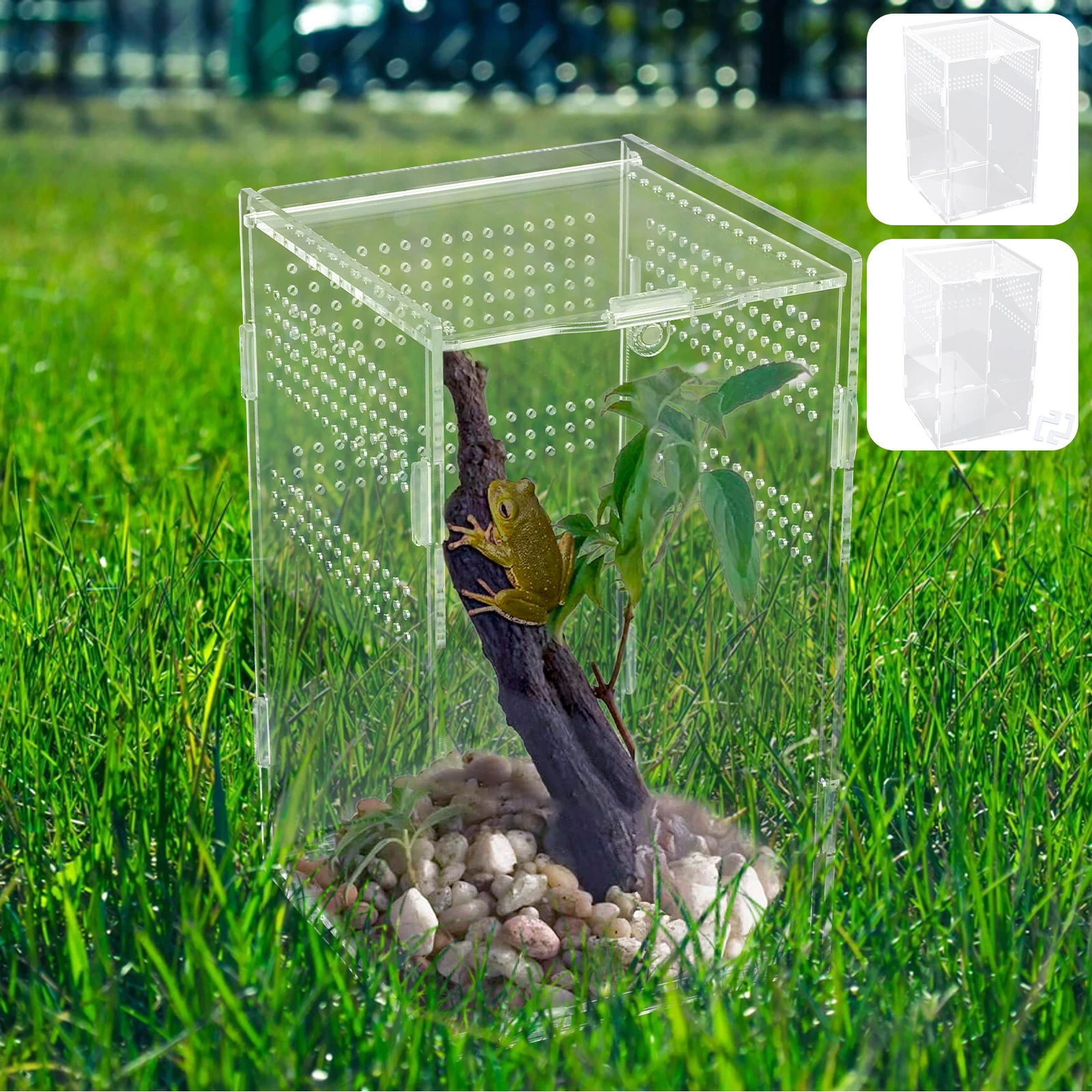 Terrarium Enclosure Acranged Transparent Climbing Pet Feeding Boxes Easy to Install Arboreal Boxes for Reptiles Invertebrates