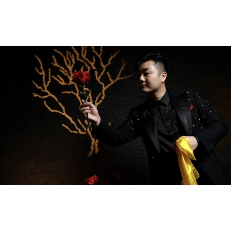 Dream Rainbow Leon King Rose Magic Stage Routine Color Changing Rose Production Vanish Transformation Multiplication Magic Prop