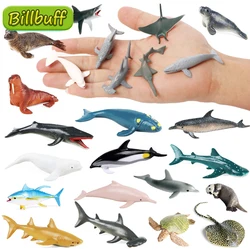 Mini Sea Life Action Figures Marine Aquarium Animal Dolphin Crab Shark Turtle Model Ocean Miniature Cognition Toys for Children