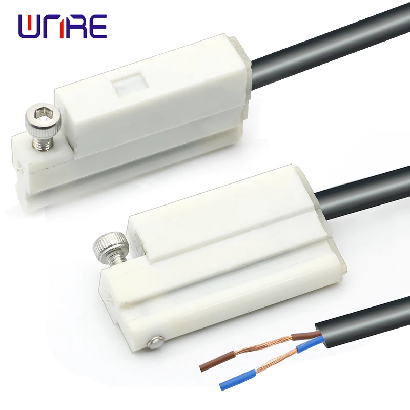 D-P3DWA Electronic Magnetic Switch Two-wire 2m Anti Strong Magnetic Field Cylinder Sensor Probe Magnetism Switch