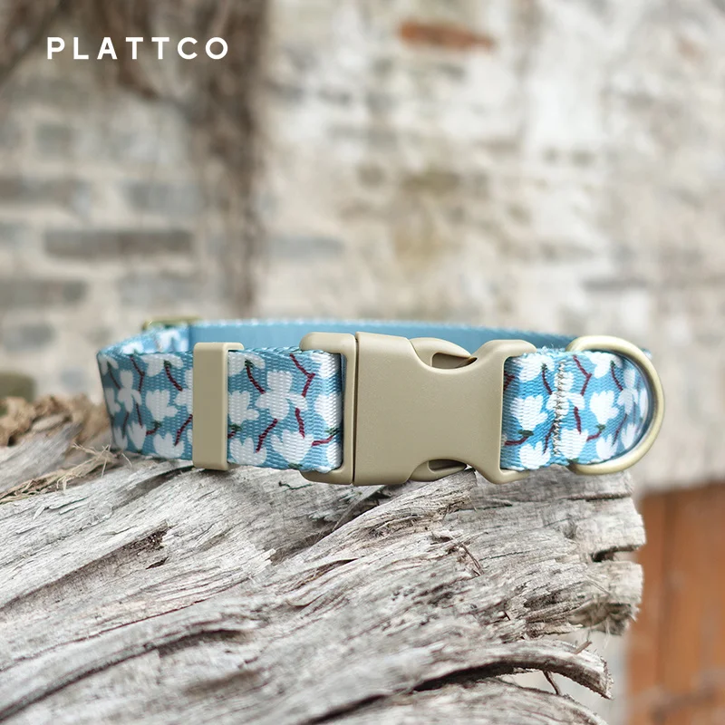 PLATTCO  Adjustable Dog Collar Personalized Name Engraved Nylon Small Medium Large Dogs Cold Gardenia 5 sizes PDC345