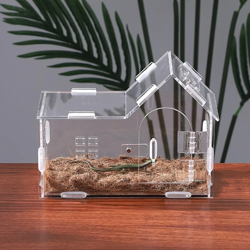 

Акриловый контейнер для кормления рептилий, магнитный прозрачный террариум для рептилий, защита от побега с крышками, контейнер для разведения домашних животных
