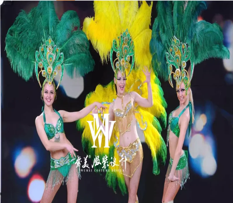 

Nightclub Performance, Fashion Show, Dance, Feather, Atmospheric Samba performance costume