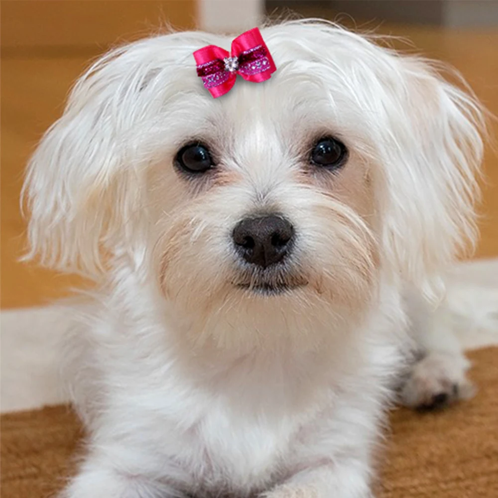Lazos para el pelo de perro con diamantes de imitación y flores, accesorios para el pelo de perro, suministros para mascotas, 20 unidades