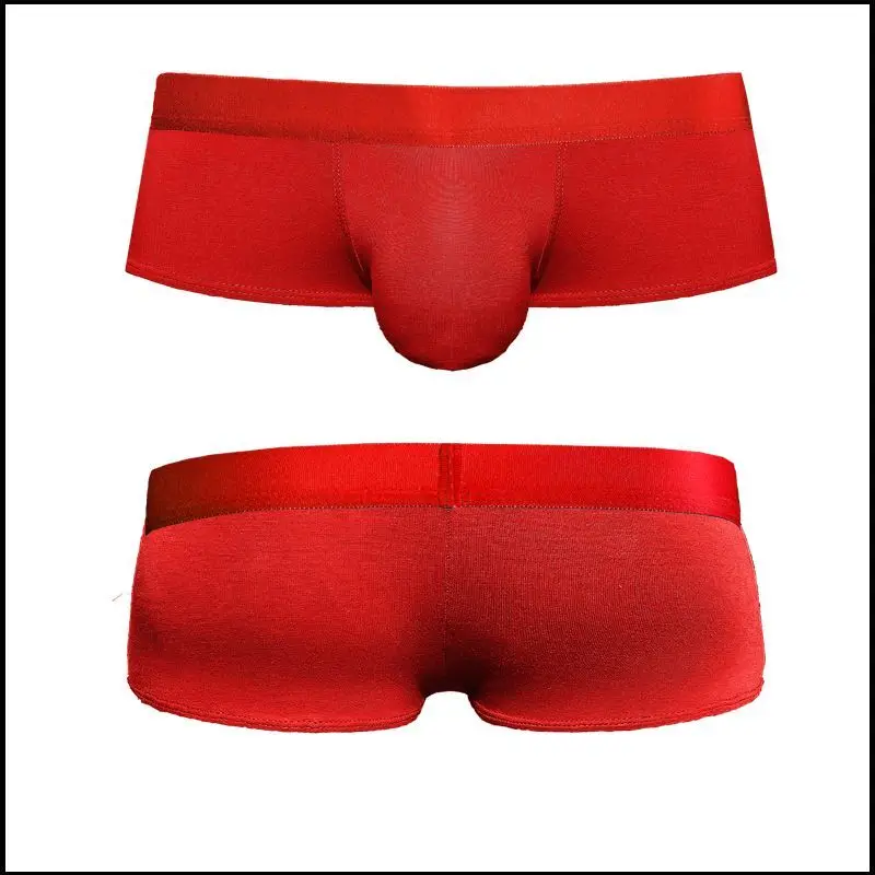 Low Waist Man Bulge Penis Pouch Underwear Big Cock Boxers Gay U-Convex Dick Boxers Enhance Sexy Lingerie Underpants Sex Briefs