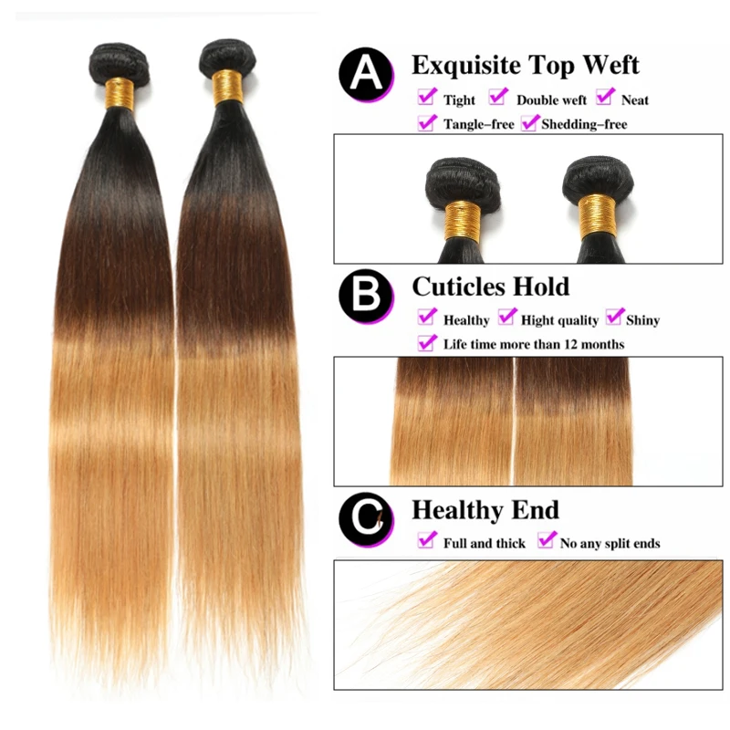 1B/4/27 Ombre Brazilian Straight 100% Human Hair Remy Hair Extensions Colored 3/4 Bundles With Lace Frontal Closure HD Lace