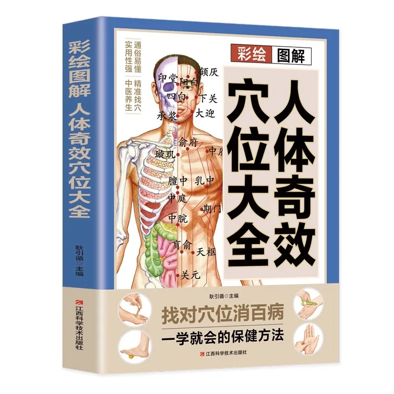 A Complete Guide to Acupoint Massage and Traditional Chinese Medicine Health Preservation Therapy for the Human Body