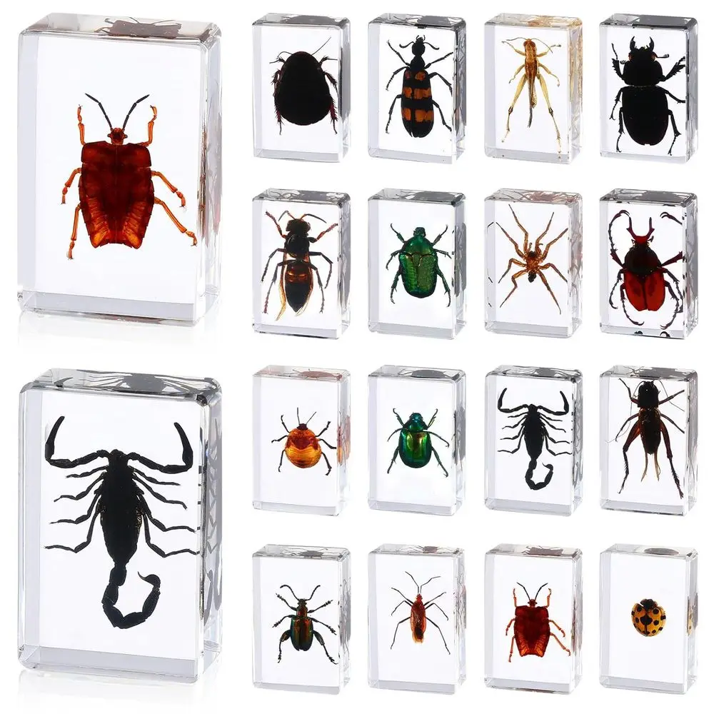

16-Piece Preserved Insect Collection in Resin, Educational Scientific Display for Bugs