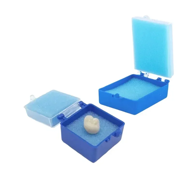 50pcs S Size Denture Sponge Retainer Case Implant Denture Crown Veneer Fake Teeth Storage Box with Foam Fake Teeth Case
