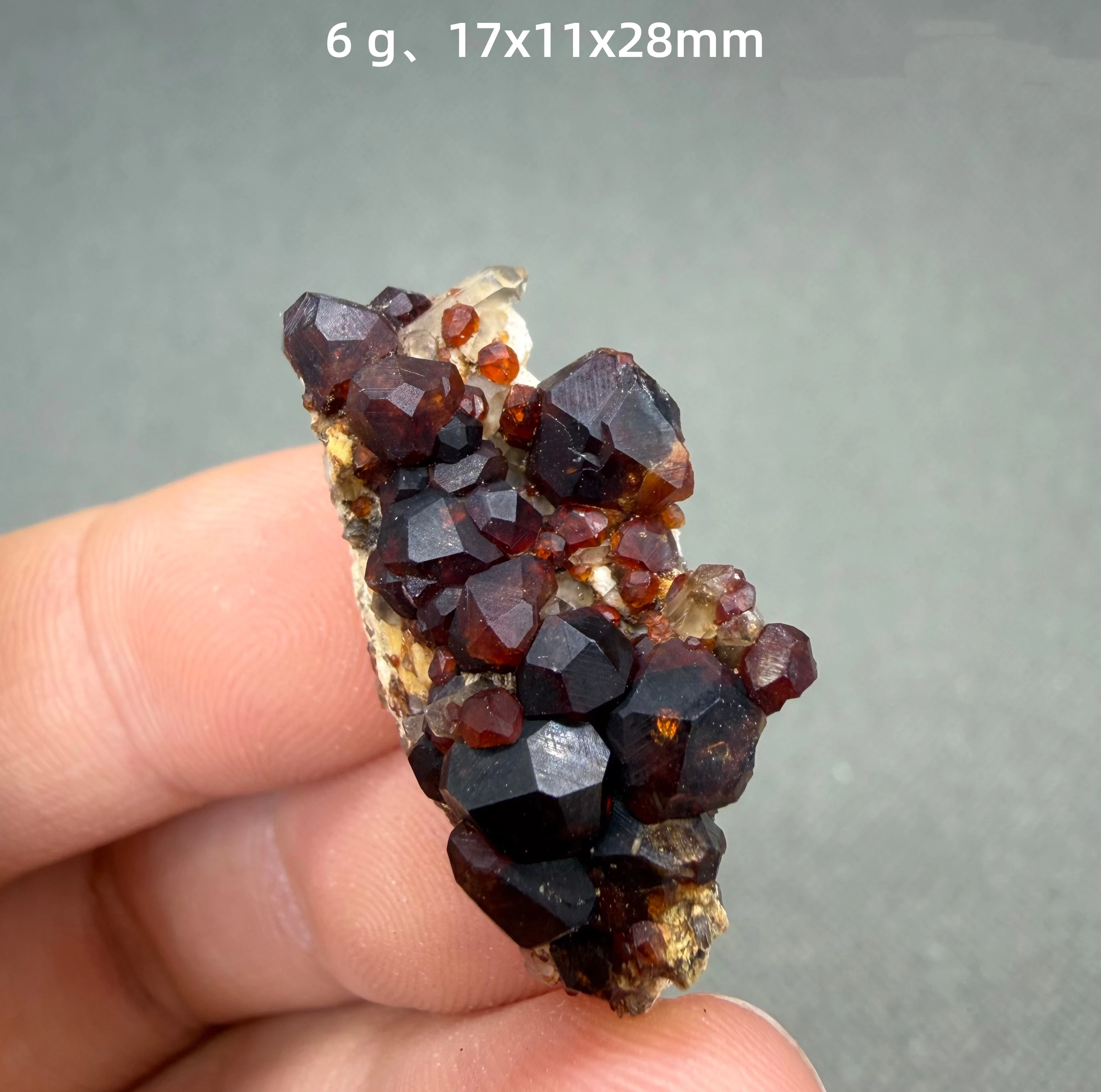 Natural garnet crystal mineral specimen + healing quartz crystals and stones rock gemstone