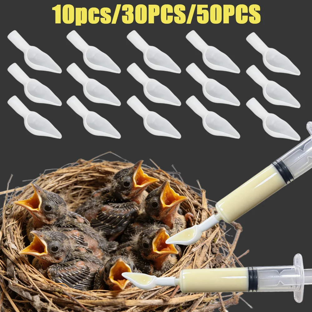 Special Spoons for Feeding and Medicating Baby Birds, Parrot Baby Birds Feeding Tools, Available in Various Sizes, Mini Bird Feeding Spoons, Special for Feeding Baby Birds Medicine and Liquid Food, Bird Artificial Feeding Tools, Portable and Practical