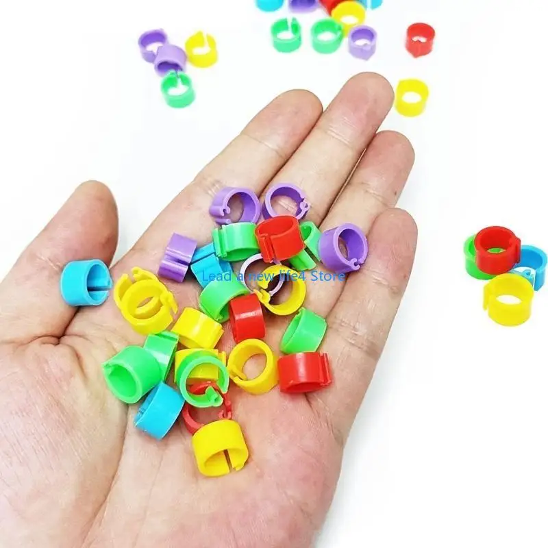 Y55E 200 PCS Clip-On Bird Foot Label Rings for Pigeons Pet Pubrots Budgies Associory Clip Round Clip 8mm Lotectored Color