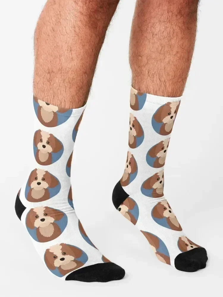Cavapoo Socks Wholesale Stockings compression kawaii designer brand Male Socks Women's