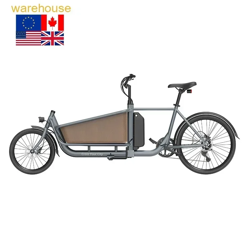 Factory Two Wheels Electric Cargo E Bike  Electric Hybrid City Road Bike ebike Cargo