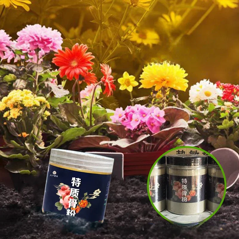 Special Bone Powder Organic Odourless Universal Flower Fertiliser Pour Une Large Gamme De Plantes Pour Favoriser La Nutrition