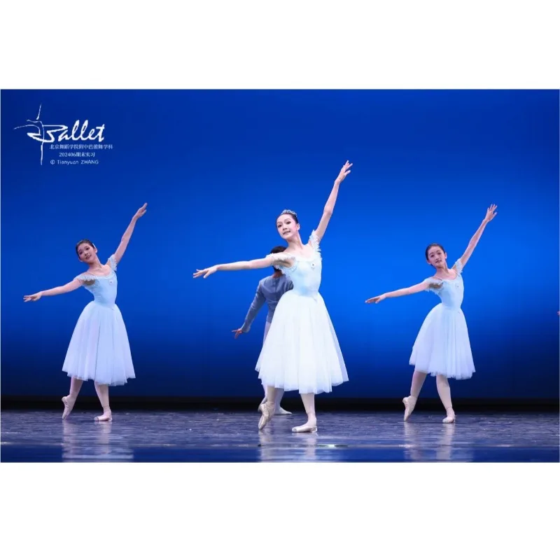 Ballet performance costume - adult professional dance dress competition - dance chiffon skirt - light blue long dress