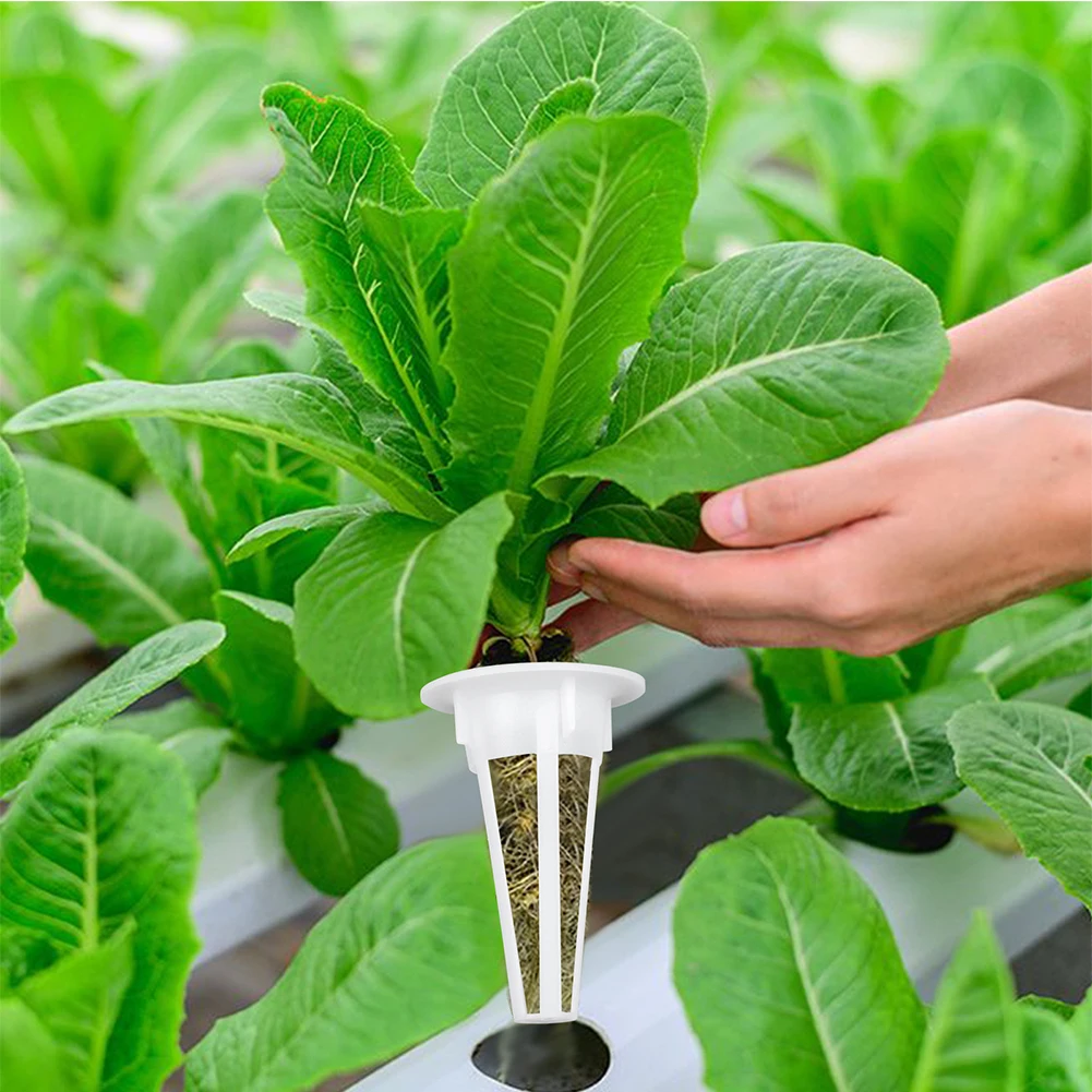 Transparent Hydroponic Trays Multifunctional Set Seedling Germination Box Plastic Convenient Observation for Greenhouse Supplies