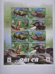 5 PCS+1, Vietnam, 2019, Mekong Freshwater Fish, Real Original Post Stamp, MNH