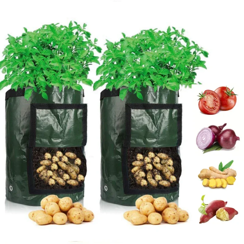 

PE Vegetable and Onion Plant Bag with Handle, Thickened Garden Carrot, Taro Peanut Growing Bag