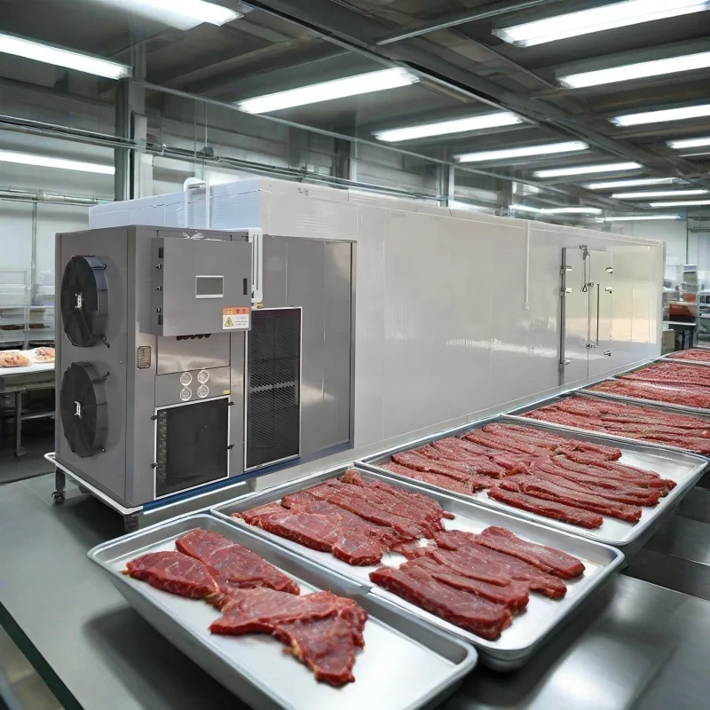 Commercial  Hot Air Meat Dryer Machine Dual Type-Cold for Pork Beef Jerky Heat Pump Cured Meat Drying Machine for Food CE Proved